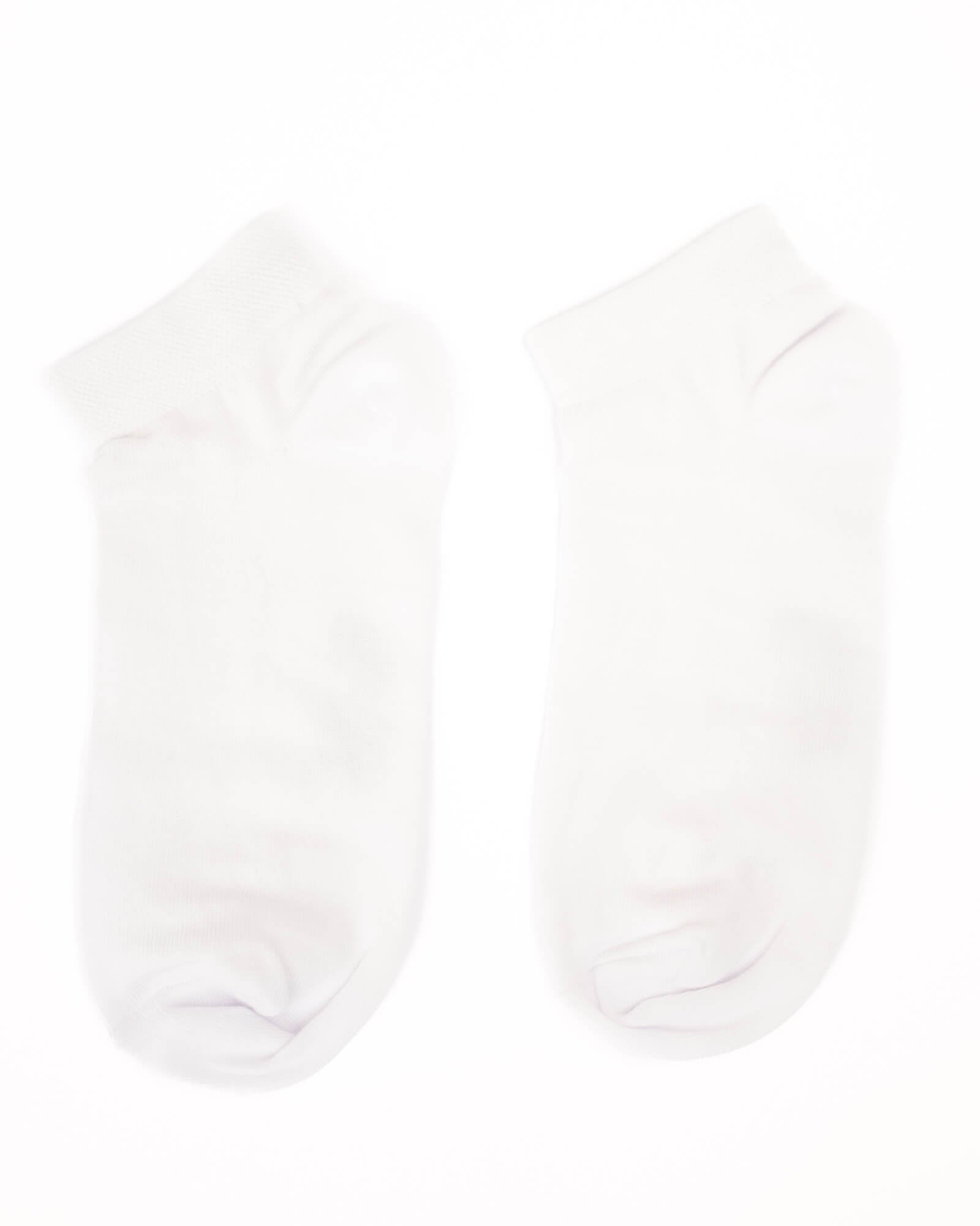 Tie Shop | Casual Cotton Socks 