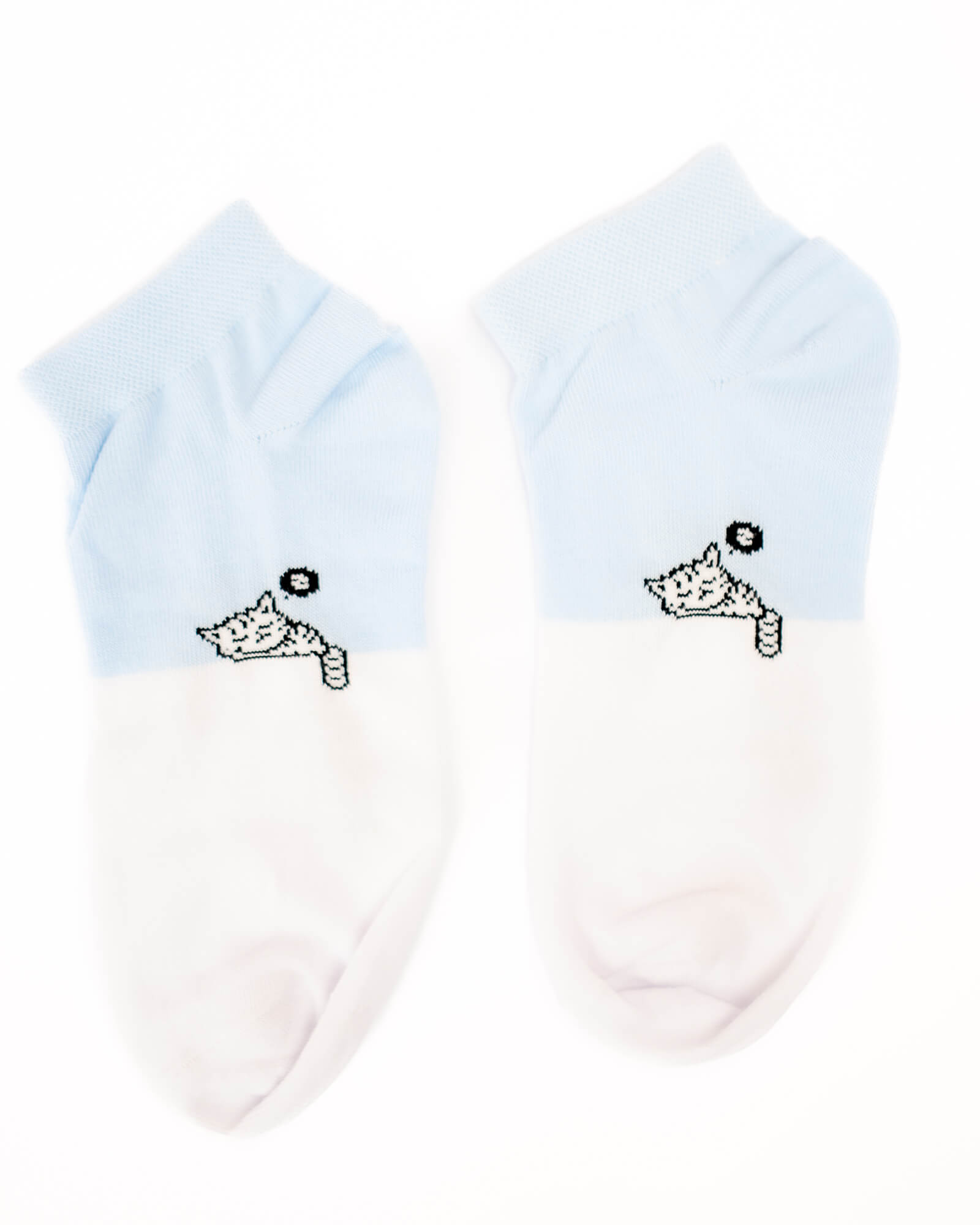 Tie Shop | Women’s Socks