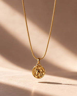Tie Shop Capricorn Necklace gold zodiac coin pendant display. سلاسل نسائية من تاى شوب كابريكورن نيكليس، قلادة ذهبية بدلاية دائرية لنقشة برج الجدي، مجوهرات وإكسسوارات أنيقة.