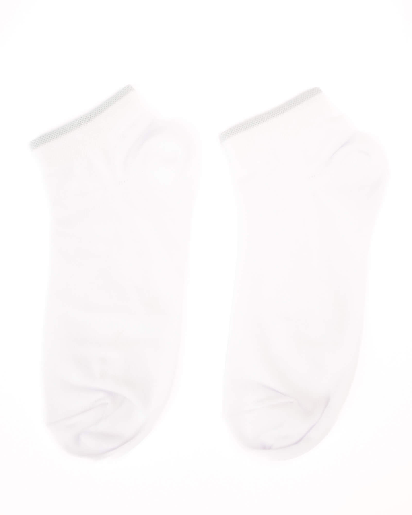 Tie Shop | Casual Cotton Socks 