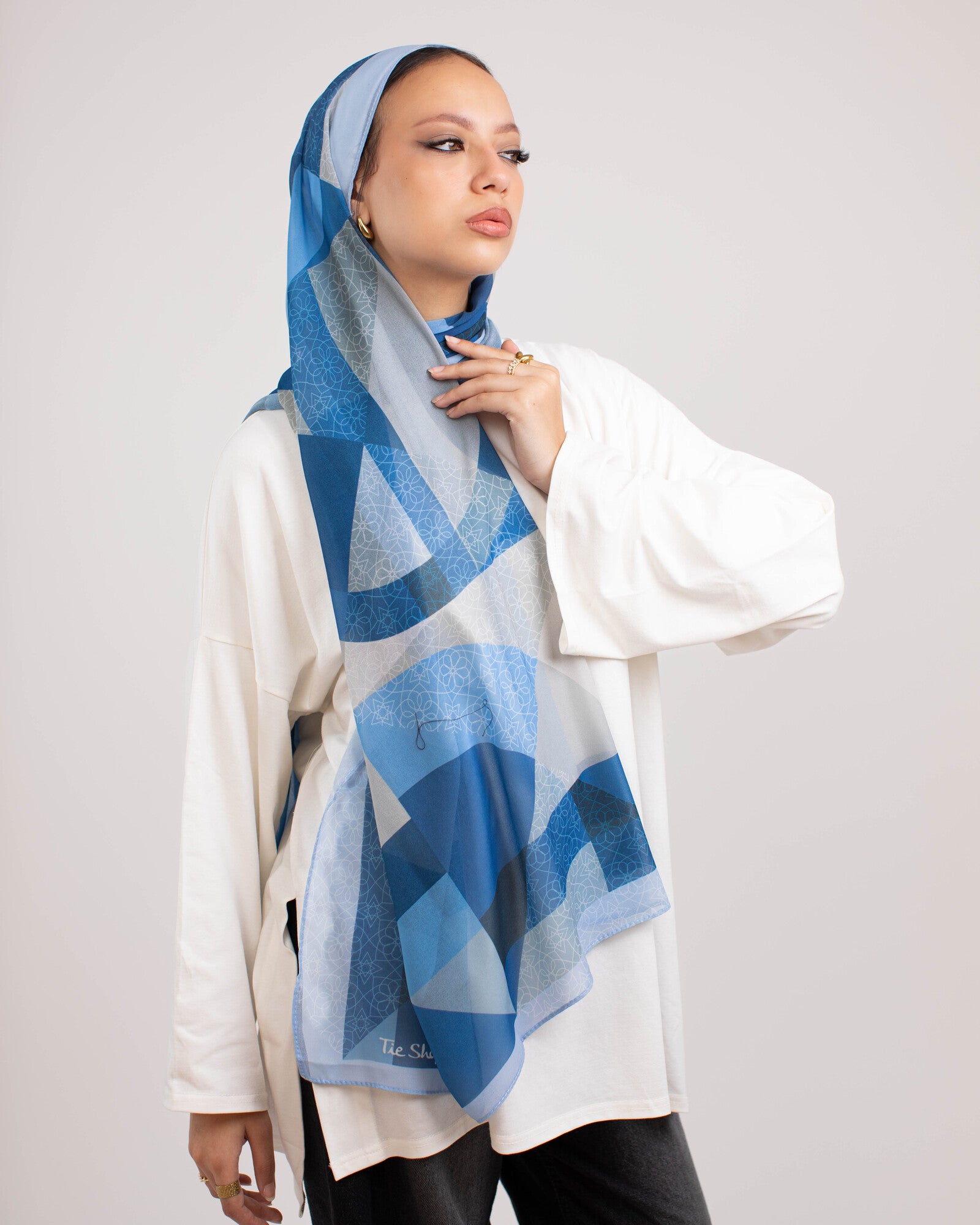 Tie Shop | Chi Chi Chiffon Scarves