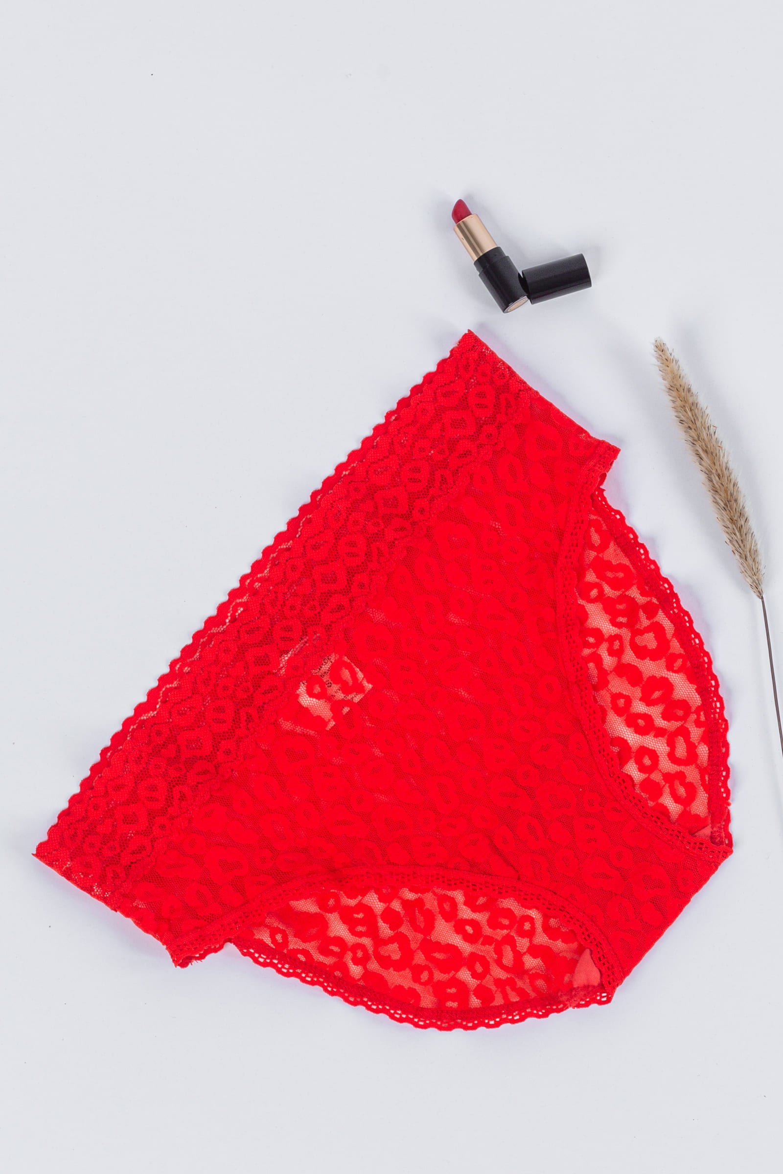 Tie Shop | Lace Cheetah Bikini Panties | Pack of 3 | women underwear
