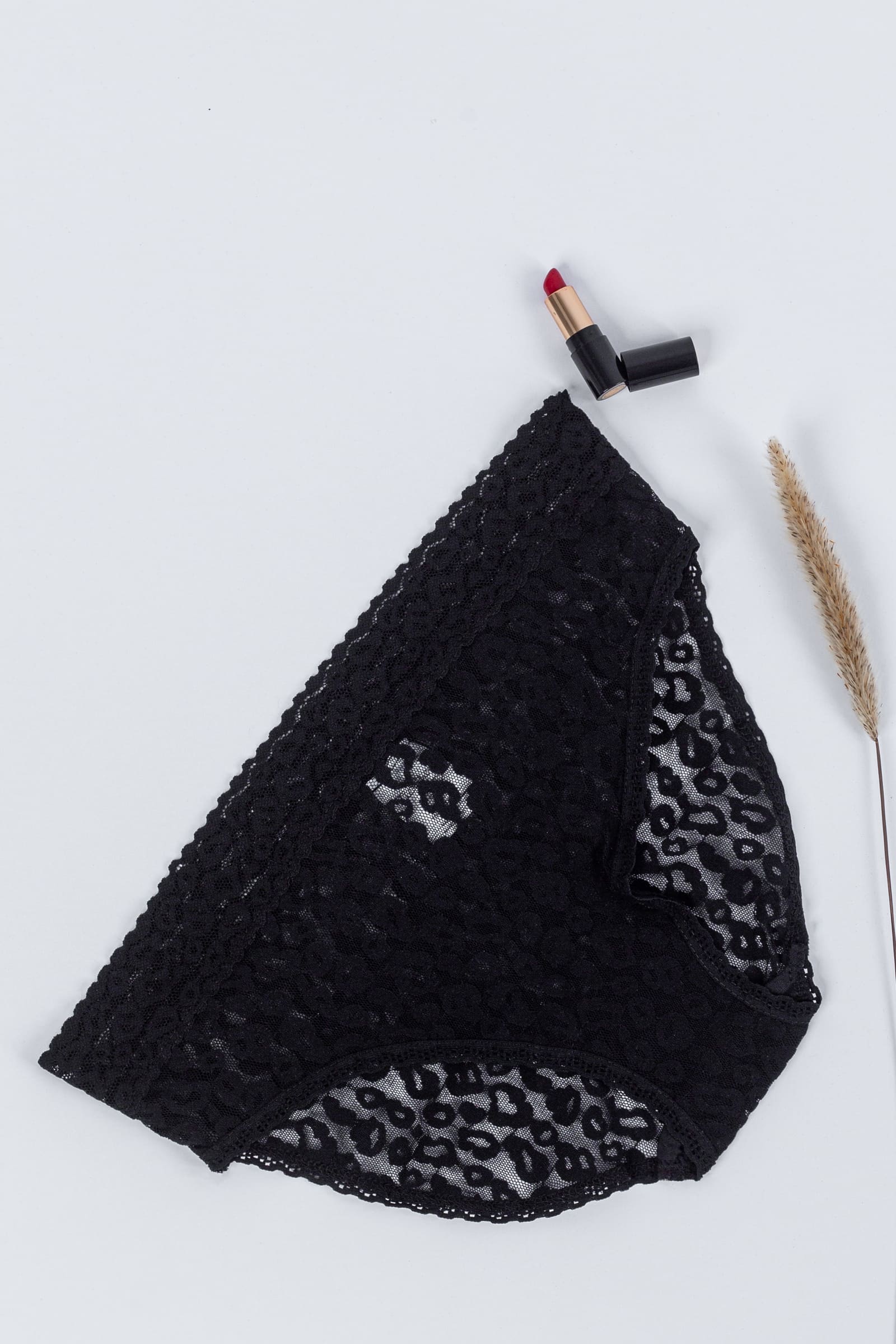 Tie Shop | Lace Cheetah Bikini Panties | women underwear