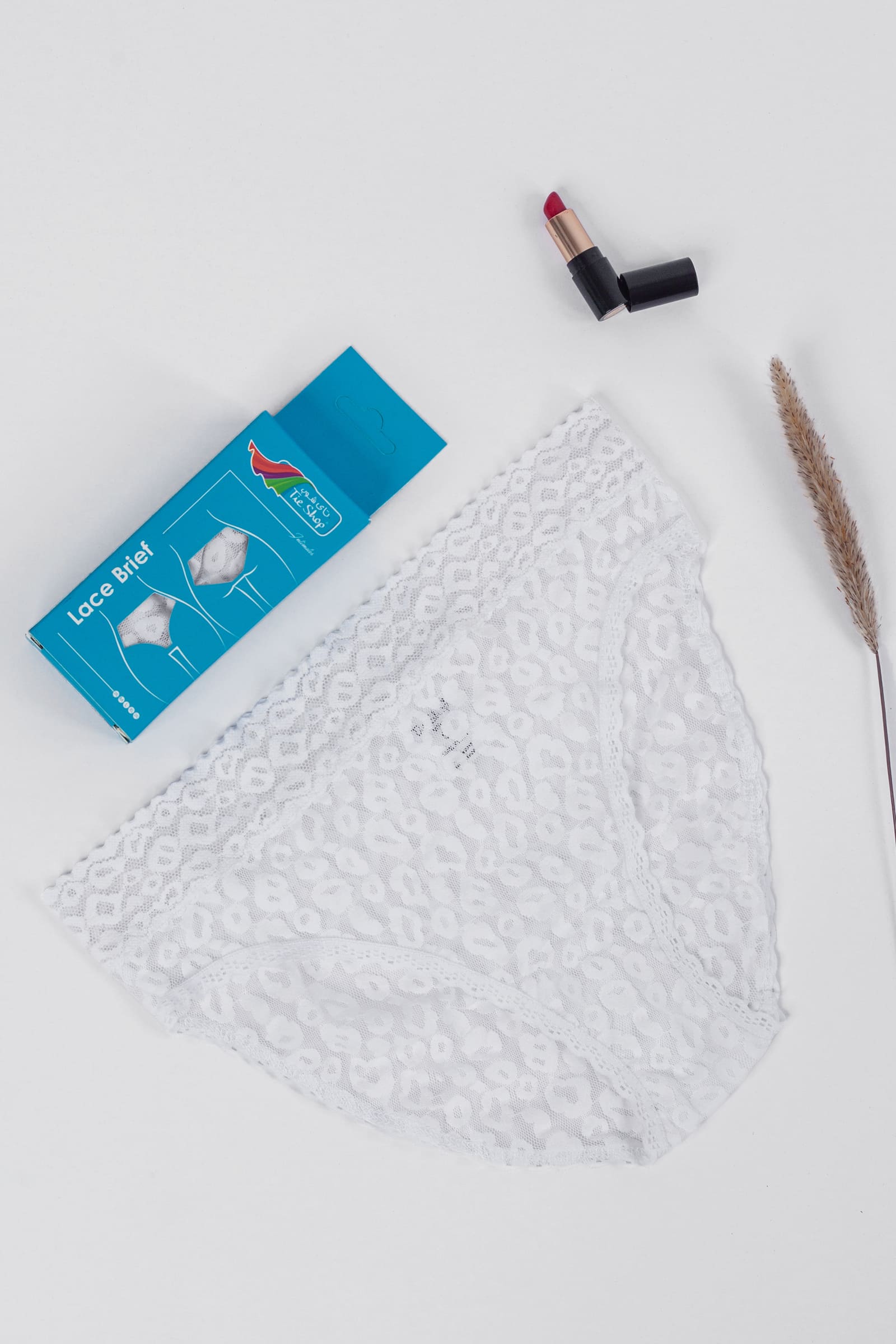 Tie Shop | Lace Cheetah Brief Panties |  women underwear