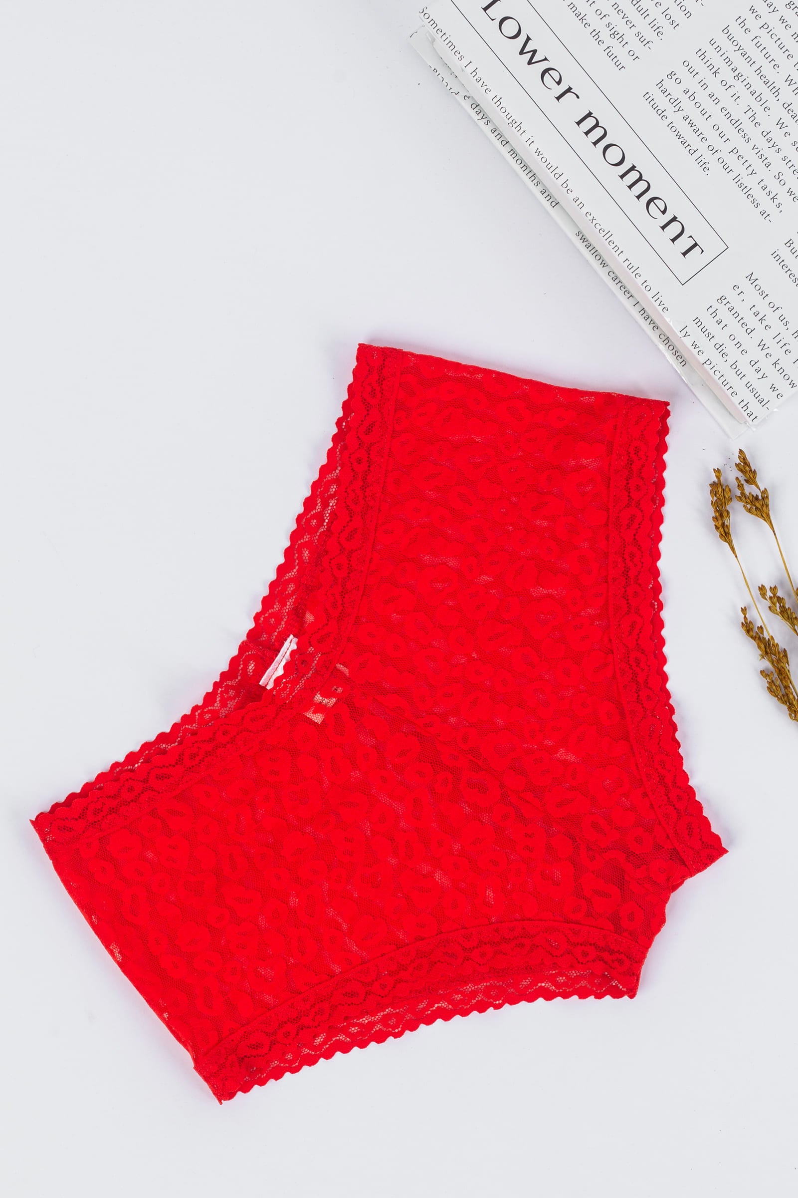 Tie Shop | Lace Cheetah Cheeky Panties| women's underwear