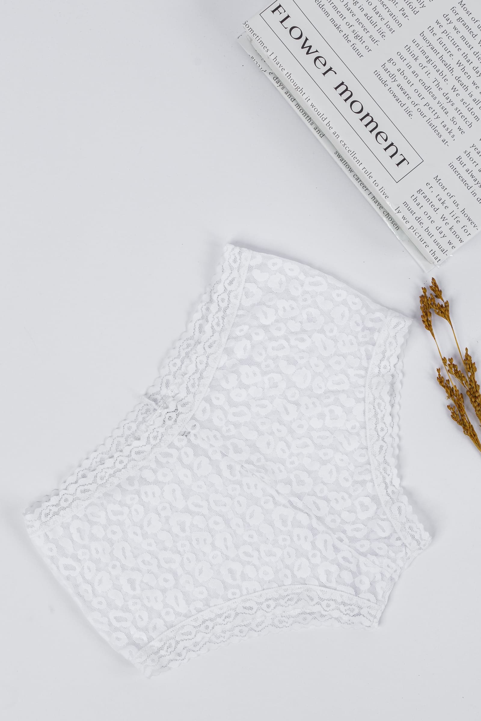 Tie Shop | Lace Cheetah Cheeky Panties| women's underwear