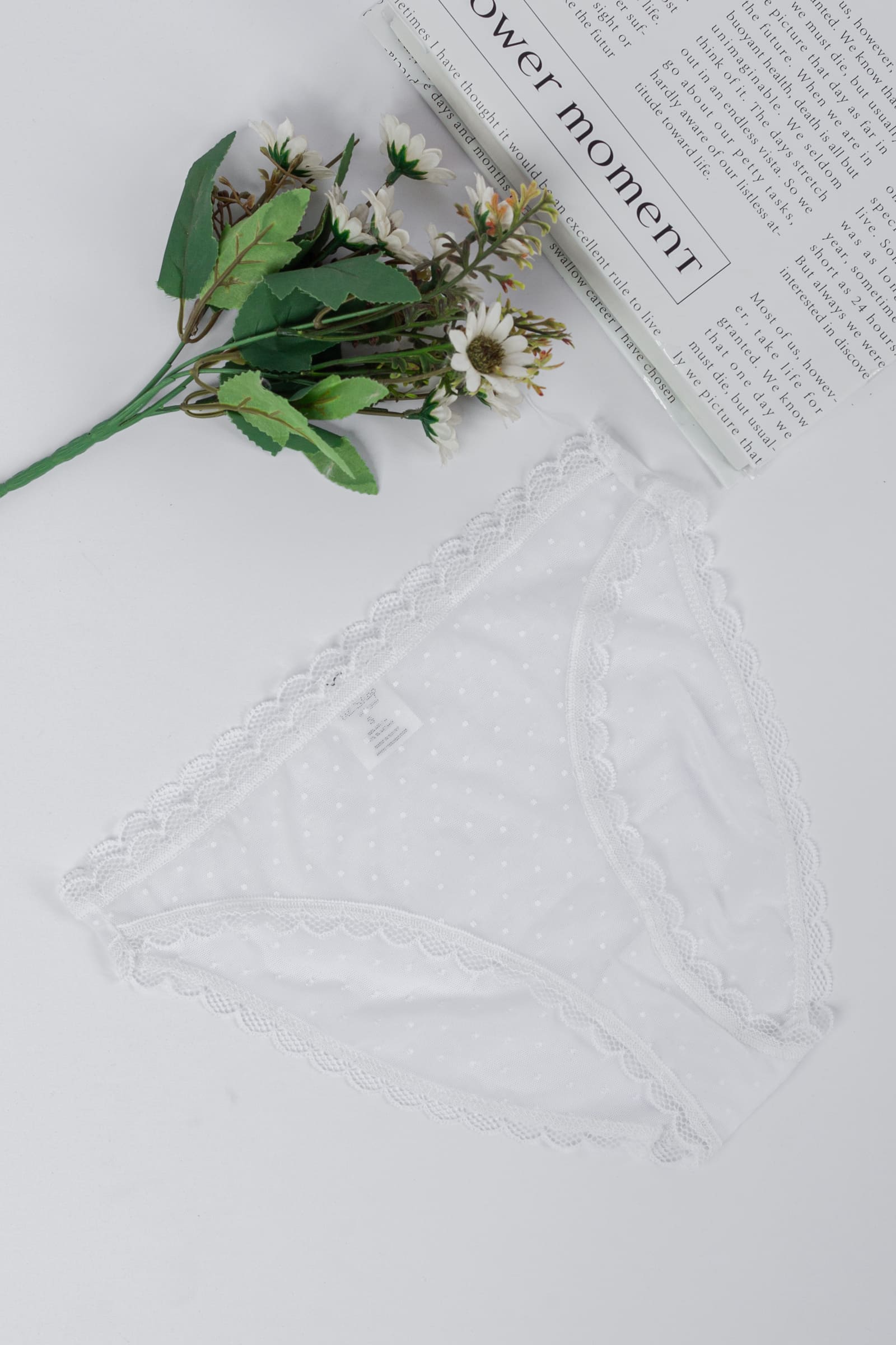 Tie Shop | Lace Dots Brief Panties | women underwear