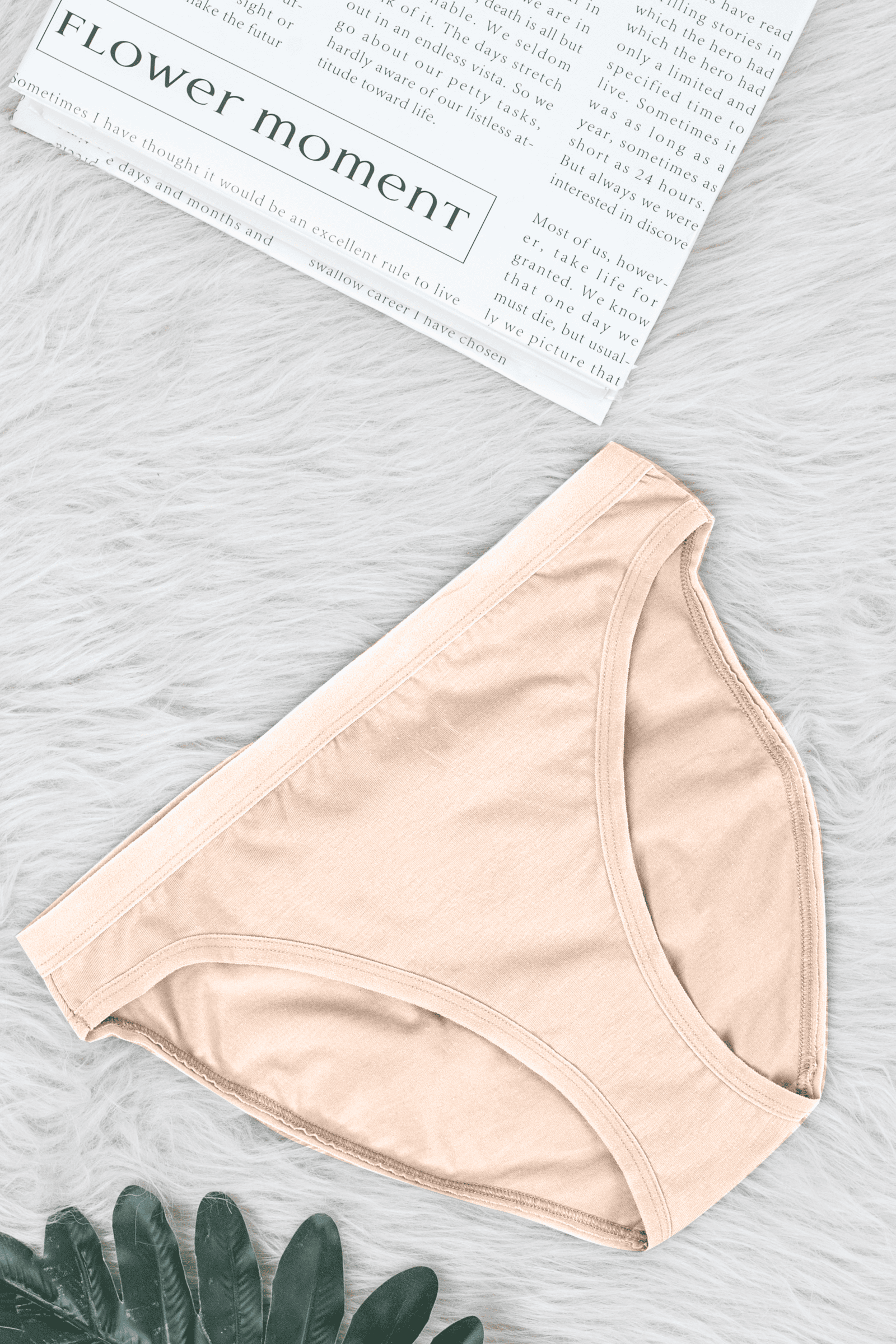 Tie Shop | Basic Cotton Brief Panties | women underwear