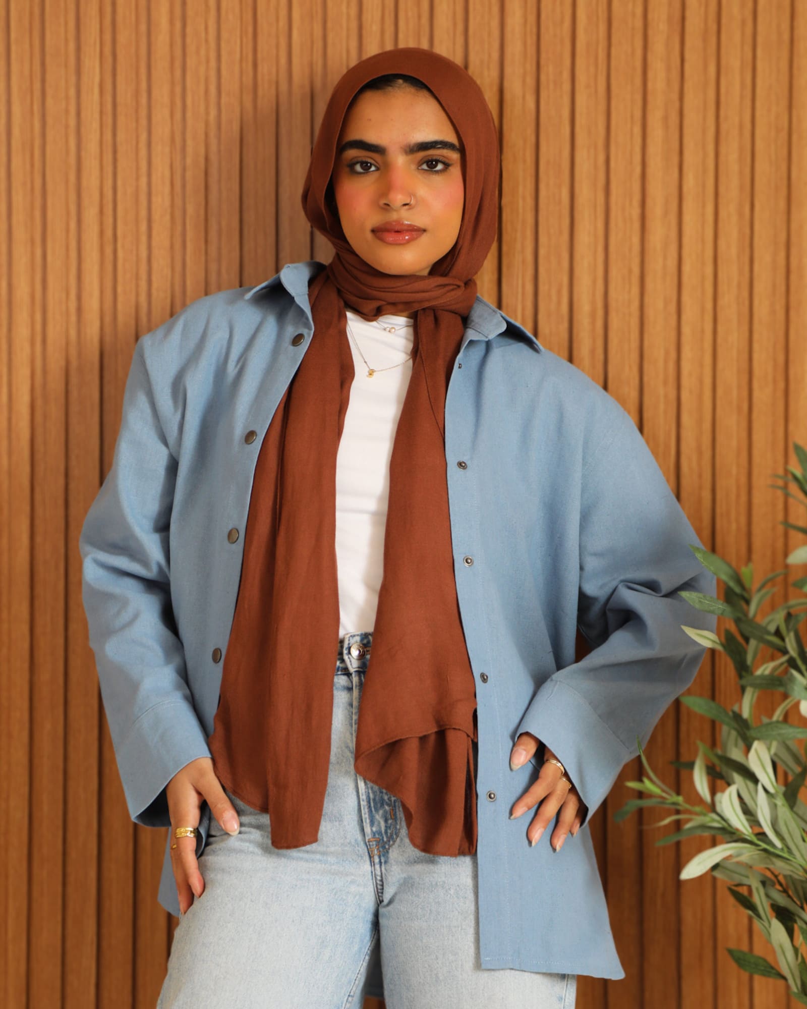 Tie Shop | Modest Wear | Button Style Shirt | Simply Linen Shirt