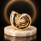 Close-up of Tie Shop Gold Polished Spiral Sea Shell Brooch on a round marble display stand with glowing background, a luxury fashion brooch. صورة مقربة لـ بروش القوقعة المصقولة الذهبي من تاي شوب على قاعدة رخامية دائرية مع خلفية مضيئة، بروش فاخر وعصري. بروش Zia لإضافة لمسة مميزة لإطلالتك اليومية